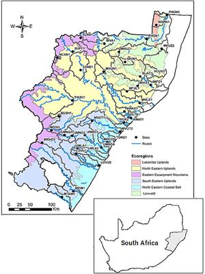 A Multivariate Approach to the Selection and Validation of Reference Conditions in KwaZulu-Natal Rivers, South Africa